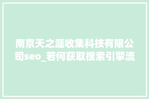 南京天之涯收集科技有限公司seo_若何获取搜索引擎流量流量若何进行转换