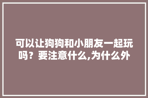 可以让狗狗和小朋友一起玩吗？要注意什么,为什么外国人喜欢嗯哼呢。 可以让狗狗和小朋友一起玩吗？要注意什么,为什么外国人喜欢嗯哼呢。 SEO关键词