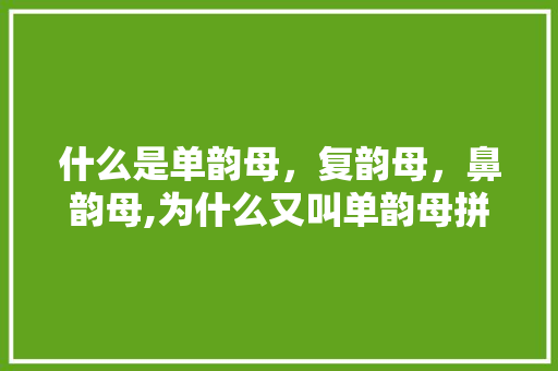 什么是单韵母，复韵母，鼻韵母,为什么又叫单韵母拼音。 什么是单韵母，复韵母，鼻韵母,为什么又叫单韵母拼音。 SEO关键词
