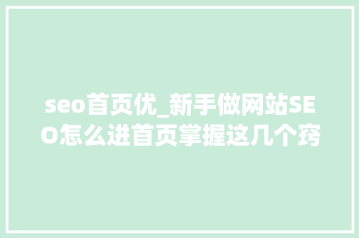 seo首页优_新手做网站SEO怎么进首页掌握这几个窍门就够了 seo首页优_新手做网站SEO怎么进首页掌握这几个窍门就够了 百度SEO