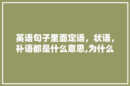 英语句子里面定语，状语，补语都是什么意思,为什么用英语句型表达。 英语句子里面定语，状语，补语都是什么意思,为什么用英语句型表达。 必应SEO