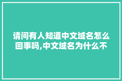 请问有人知道中文域名怎么回事吗,中文域名为什么不火了。 百度SEO 请问有人知道中文域名怎么回事吗,中文域名为什么不火了。 请问有人知道中文域名怎么回事吗,中文域名为什么不火了。 百度SEO