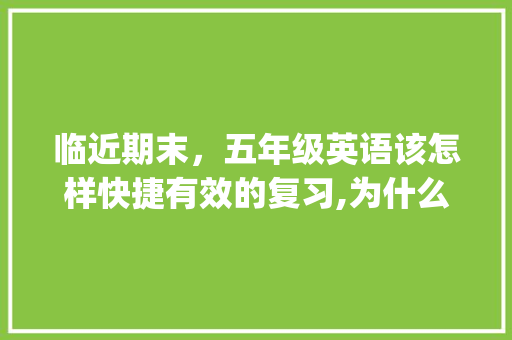 临近期末，五年级英语该怎样快捷有效的复习,为什么grandpa要大写。 临近期末，五年级英语该怎样快捷有效的复习,为什么grandpa要大写。 搜狗SEO