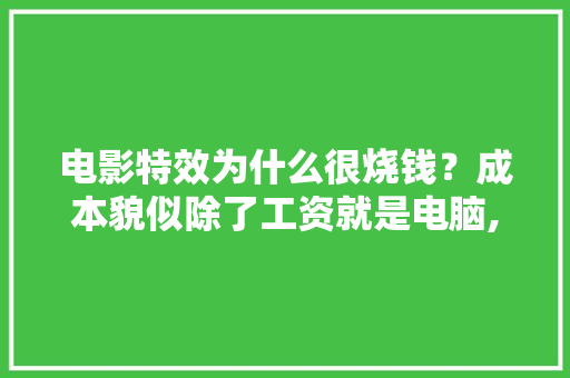电影特效为什么很烧钱？成本貌似除了工资就是电脑,做特效为什么要钱呢。 电影特效为什么很烧钱？成本貌似除了工资就是电脑,做特效为什么要钱呢。 必应SEO