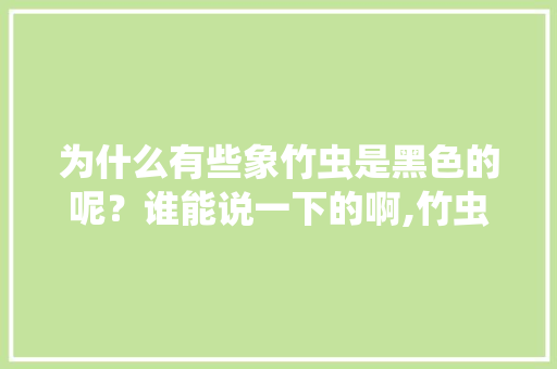 为什么有些象竹虫是黑色的呢?谁能说一下的啊,竹虫为什么是黑色的呢。 百度SEO 为什么有些象竹虫是黑色的呢?谁能说一下的啊,竹虫为什么是黑色的呢。 为什么有些象竹虫是黑色的呢?谁能说一下的啊,竹虫为什么是黑色的呢。 百度SEO