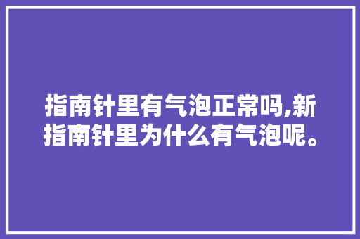 指南针里有气泡正常吗,新指南针里为什么有气泡呢。 指南针里有气泡正常吗,新指南针里为什么有气泡呢。 必应SEO
