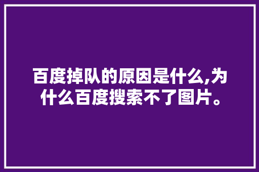 百度掉队的原因是什么,为什么百度搜索不了图片。 百度掉队的原因是什么,为什么百度搜索不了图片。 搜狗SEO