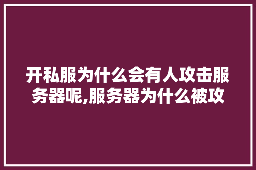 开私服为什么会有人攻击服务器呢,服务器为什么被攻击了。 开私服为什么会有人攻击服务器呢,服务器为什么被攻击了。 网站建设公司