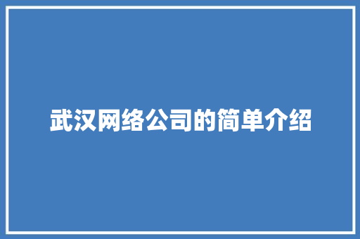 武汉网络公司的简单介绍 武汉网络公司的简单介绍 网站建设公司