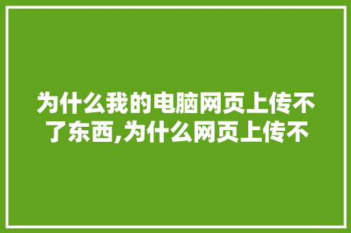 为什么我的电脑网页上传不了东西,为什么网页上传不了图片了。 为什么我的电脑网页上传不了东西,为什么网页上传不了图片了。 网站建设公司