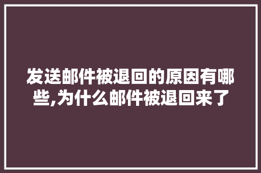 发送邮件被退回的原因有哪些,为什么邮件被退回来了。 发送邮件被退回的原因有哪些,为什么邮件被退回来了。 神马SEO