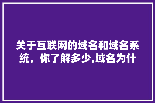 关于互联网的域名和域名系统，你了解多少,域名为什么要有别名呢。 关于互联网的域名和域名系统，你了解多少,域名为什么要有别名呢。 SEO关键词