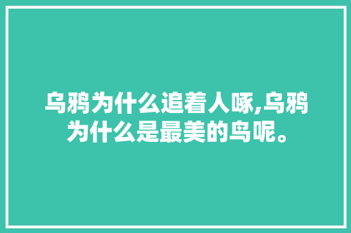 乌鸦为什么追着人啄,乌鸦为什么是最美的鸟呢。 乌鸦为什么追着人啄,乌鸦为什么是最美的鸟呢。 百度SEO