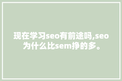 现在学习seo有前途吗,seo为什么比sem挣的多。 网站建设公司