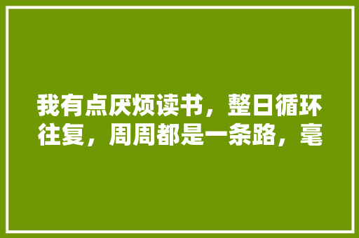 我有点厌烦读书，整日循环往复，周周都是一条路，毫无生气，枯燥乏味。我该怎么办,为什么小学厌倦读书呢。 我有点厌烦读书，整日循环往复，周周都是一条路，毫无生气，枯燥乏味。我该怎么办,为什么小学厌倦读书呢。 必应SEO