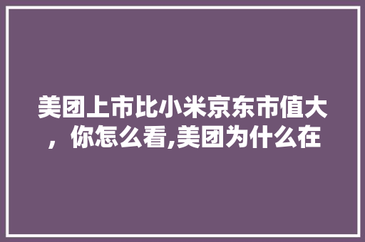 美团上市比小米京东市值大，你怎么看,美团为什么在西安裂变了。