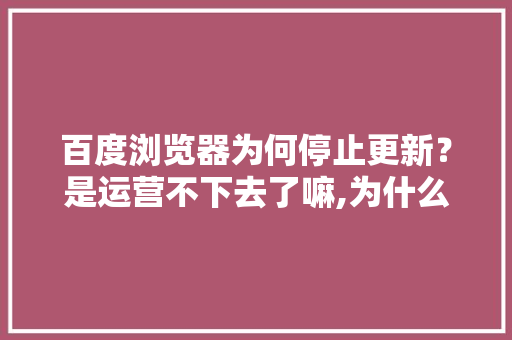 百度浏览器为何停止更新？是运营不下去了嘛,为什么百度不能搜索了呢。 百度浏览器为何停止更新？是运营不下去了嘛,为什么百度不能搜索了呢。 神马SEO