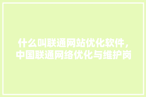 什么叫联通网站优化软件，中国联通网络优化与维护岗怎么样。