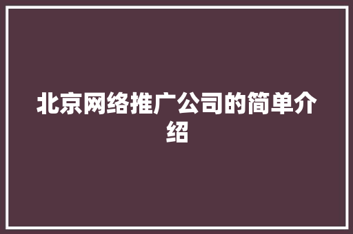 北京网络推广公司的简单介绍