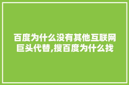 百度为什么没有其他互联网巨头代替,搜百度为什么找不到页面了。 百度为什么没有其他互联网巨头代替,搜百度为什么找不到页面了。 神马SEO