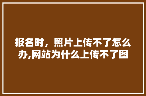 报名时，照片上传不了怎么办,网站为什么上传不了图片了。 报名时，照片上传不了怎么办,网站为什么上传不了图片了。 必应SEO