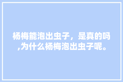 杨梅能泡出虫子，是真的吗,为什么杨梅泡出虫子呢。 杨梅能泡出虫子，是真的吗,为什么杨梅泡出虫子呢。 SEO关键词