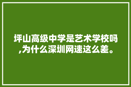 坪山高级中学是艺术学校吗,为什么深圳网速这么差。 必应SEO