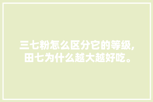 三七粉怎么区分它的等级,田七为什么越大越好吃。 三七粉怎么区分它的等级,田七为什么越大越好吃。 SEO关键词
