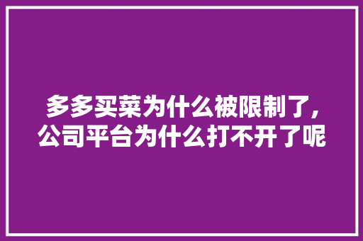 多多买菜为什么被限制了,公司平台为什么打不开了呢。 多多买菜为什么被限制了,公司平台为什么打不开了呢。 搜狗SEO