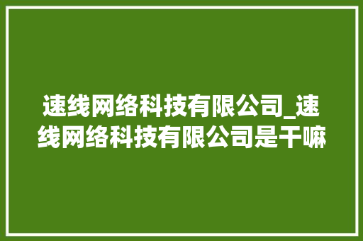速线网络科技有限公司_速线网络科技有限公司是干嘛的。 速线网络科技有限公司_速线网络科技有限公司是干嘛的。 网站建设公司