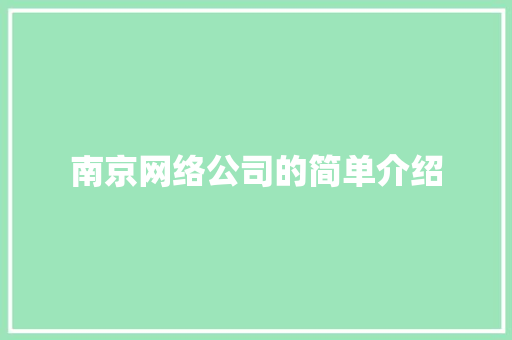南京网络公司的简单介绍 南京网络公司的简单介绍 网站建设公司