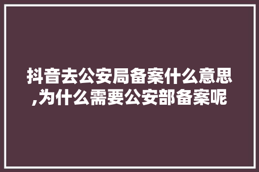 抖音去公安局备案什么意思,为什么需要公安部备案呢。 抖音去公安局备案什么意思,为什么需要公安部备案呢。 必应SEO