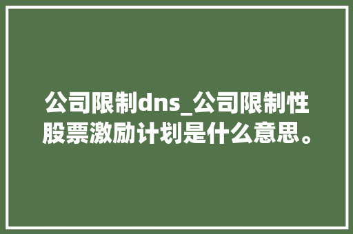 公司限制dns_公司限制性股票激励计划是什么意思。 公司限制dns_公司限制性股票激励计划是什么意思。 网站建设公司