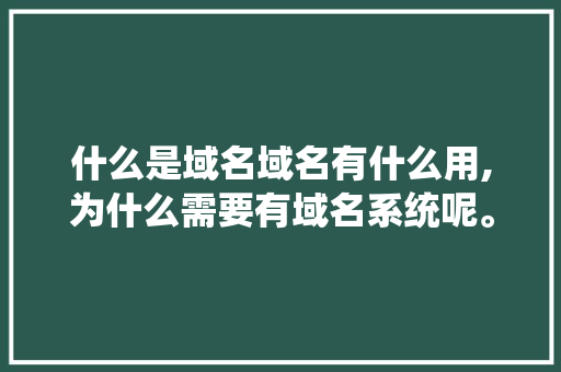 什么是域名域名有什么用,为什么需要有域名系统呢。 什么是域名域名有什么用,为什么需要有域名系统呢。 网站建设公司