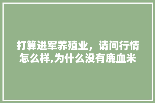 打算进军养殖业，请问行情怎么样,为什么没有鹿血米买了呢。 打算进军养殖业，请问行情怎么样,为什么没有鹿血米买了呢。 搜狗SEO