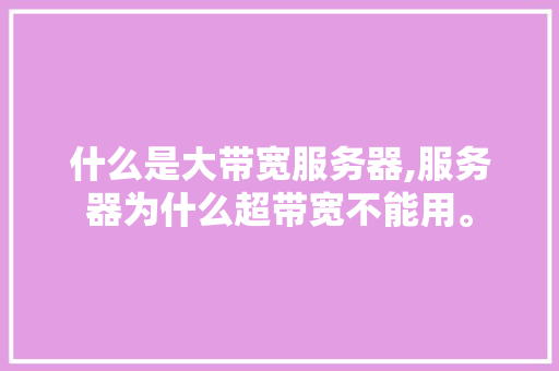 什么是大带宽服务器,服务器为什么超带宽不能用。 什么是大带宽服务器,服务器为什么超带宽不能用。 神马SEO
