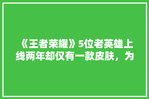《王者荣耀》5位老英雄上线两年却仅有一款皮肤，为什么他们始终得不到重视,射手座小时候很丑长大,怎么样。 《王者荣耀》5位老英雄上线两年却仅有一款皮肤，为什么他们始终得不到重视,射手座小时候很丑长大,怎么样。 神马SEO