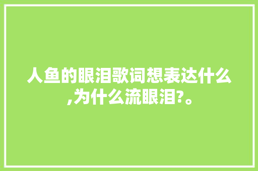 人鱼的眼泪歌词想表达什么,为什么流眼泪?。 人鱼的眼泪歌词想表达什么,为什么流眼泪?。 百度SEO