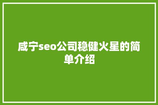 咸宁seo公司稳健火星的简单介绍 咸宁seo公司稳健火星的简单介绍 网站建设公司
