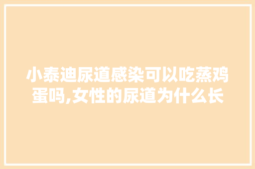 小泰迪尿道感染可以吃蒸鸡蛋吗,女性的尿道为什么长毛呢。 小泰迪尿道感染可以吃蒸鸡蛋吗,女性的尿道为什么长毛呢。 搜狗SEO