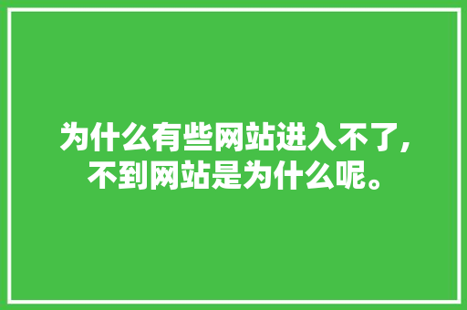 为什么有些网站进入不了,不到网站是为什么呢。 为什么有些网站进入不了,不到网站是为什么呢。 网站建设公司