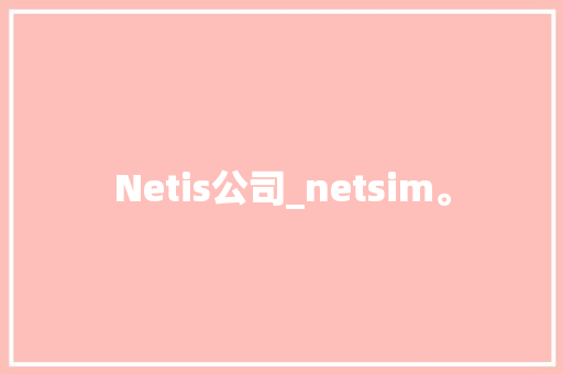 Netis公司_netsim。 Netis公司_netsim。 网站建设公司