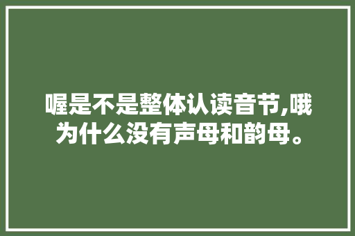 喔是不是整体认读音节,哦为什么没有声母和韵母。