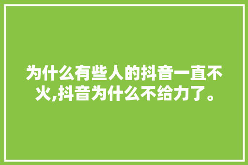 为什么有些人的抖音一直不火,抖音为什么不给力了。 为什么有些人的抖音一直不火,抖音为什么不给力了。 SEO关键词