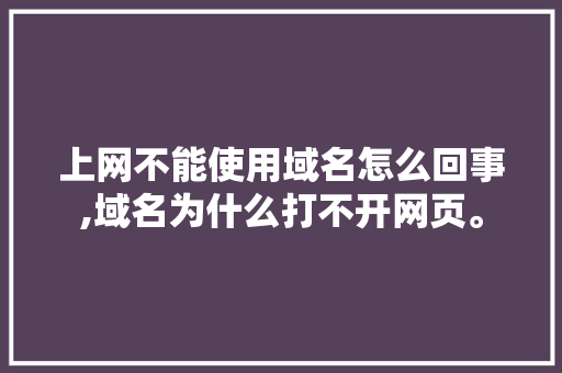 上网不能使用域名怎么回事,域名为什么打不开网页。 上网不能使用域名怎么回事,域名为什么打不开网页。 百度SEO