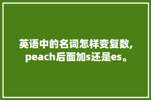 英语中的名词怎样变复数,peach后面加s还是es。 英语中的名词怎样变复数,peach后面加s还是es。 百度SEO