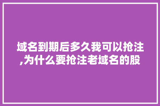 域名到期后多久我可以抢注,为什么要抢注老域名的股票。 域名到期后多久我可以抢注,为什么要抢注老域名的股票。 百度SEO