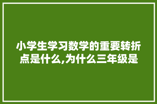 小学生学习数学的重要转折点是什么,为什么三年级是转折点的题。 SEO关键词