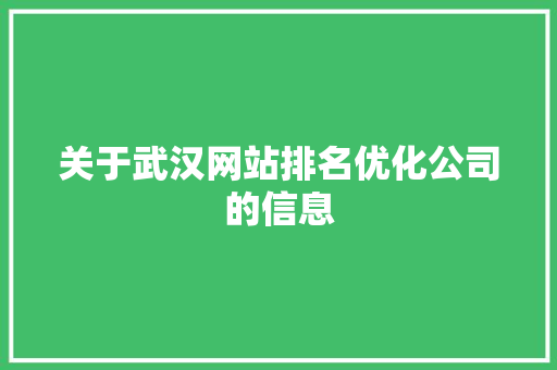 关于武汉网站排名优化公司的信息 关于武汉网站排名优化公司的信息 网站建设公司