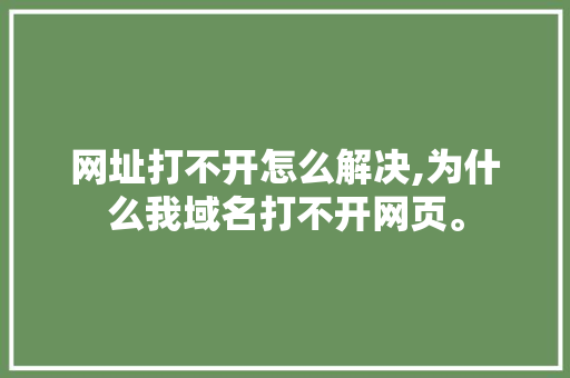 网址打不开怎么解决,为什么我域名打不开网页。 网址打不开怎么解决,为什么我域名打不开网页。 网站建设公司